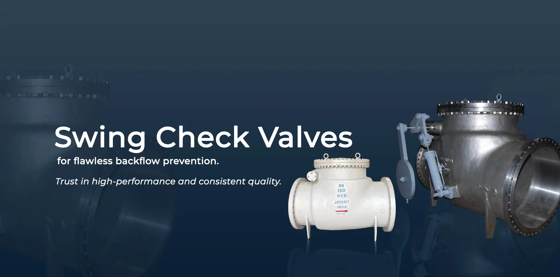 Dual Plate Check Valve manufacturer