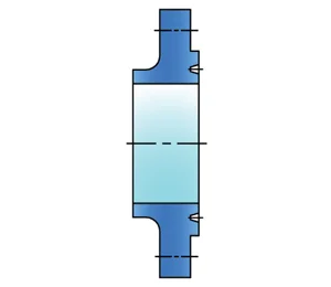 RTJ Flange end