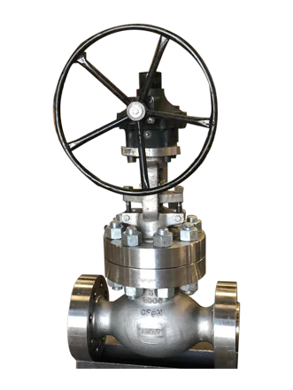 Globe Valve manufacturers in Ahmedabad