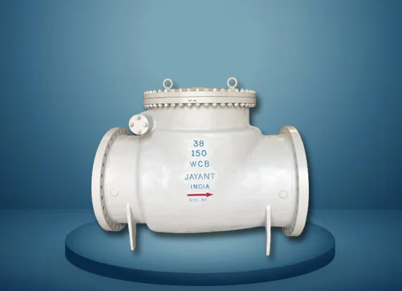 Swing Check Valve manufacturer in india