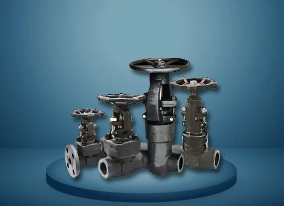 forged steel gate globe lift check valves in india