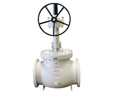 Globe Valve manufacturers in Gujarat