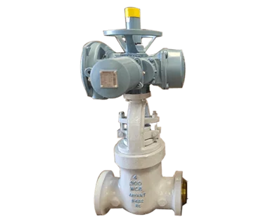 Pressure Seal Valves manufacturer