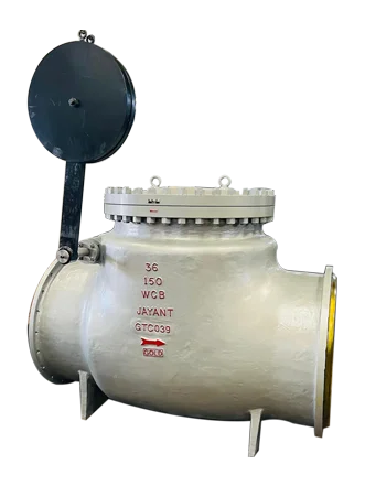 Swing check valve Suppliers in India